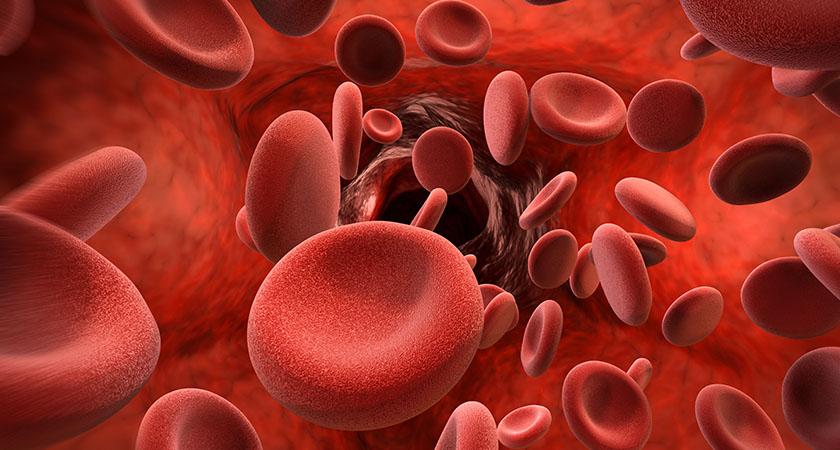  Hématologie en 3 parties