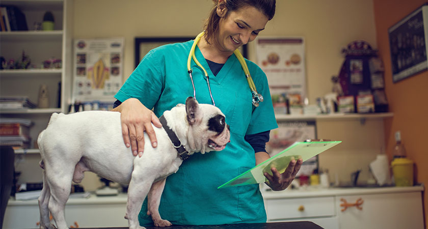  Monitorage patient